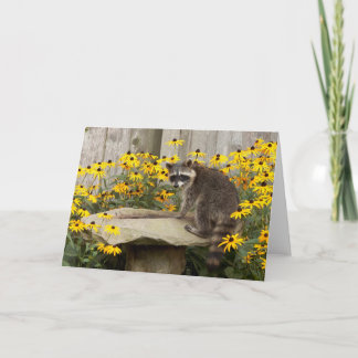 Racoon Greeting Card