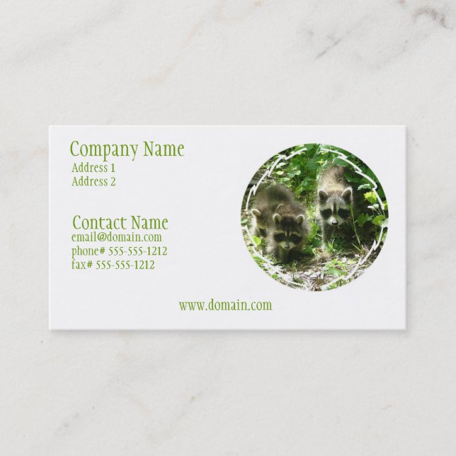 Racoon Habitat Business Card (Front)