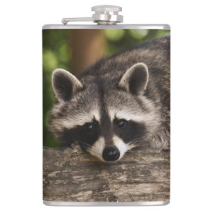 Racoon Hip Flask
