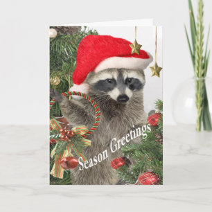 Racoon Holiday Greetings Card