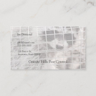 Racoon in a trap business card