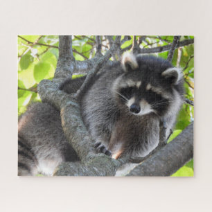 Racoon in a Tree Jigsaw Puzzle