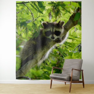 Racoon in Green Tree Cute grey masked racoon Tapestry