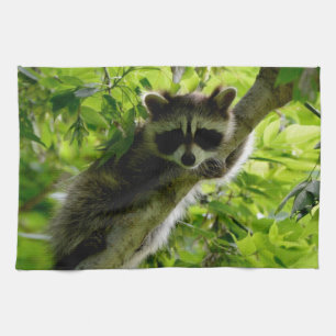 Racoon in Green Tree Cute grey masked racoon Tea Towel