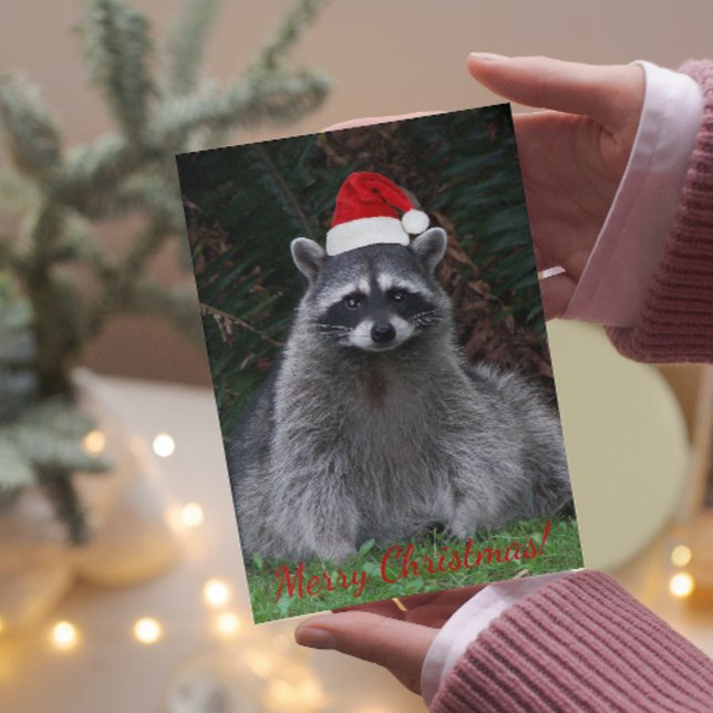 Racoon in Santa Hat Holiday Card (In Situ)