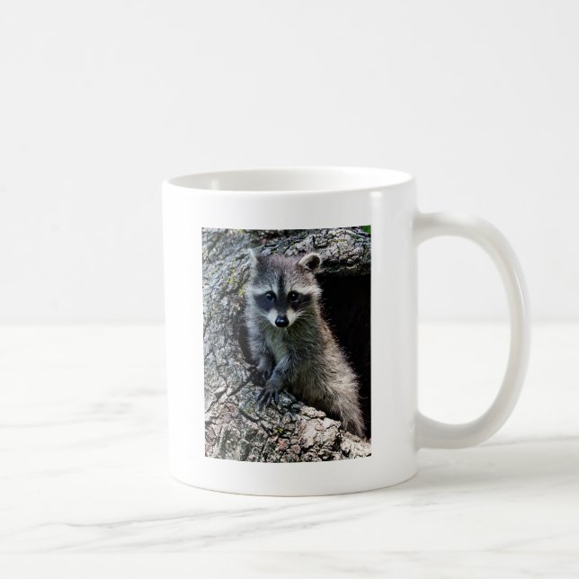 Racoon in the Den Coffee Mug (Right)