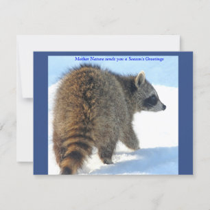 Racoon in the Holiday Snow Card