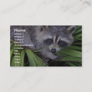 Racoon In The Plants Business Card
