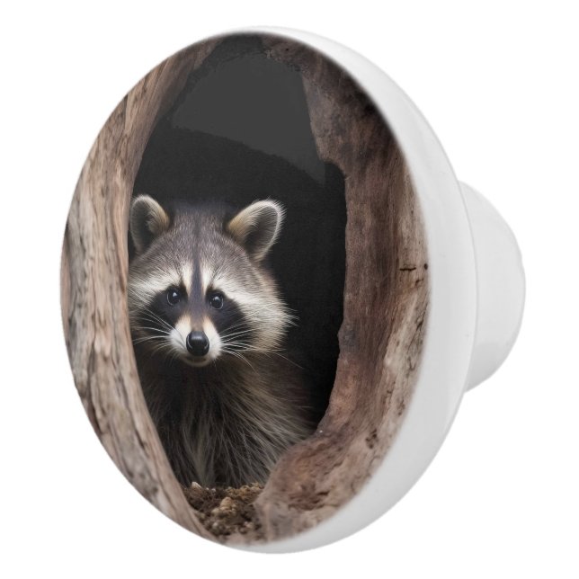 Racoon in Tree Cave  Ceramic Knob (Right)