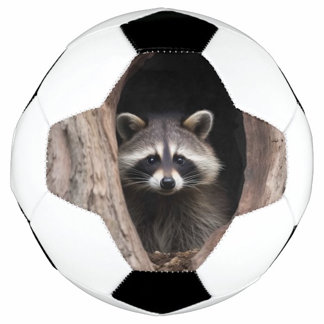 Racoon in Tree Cave  Football (Front)