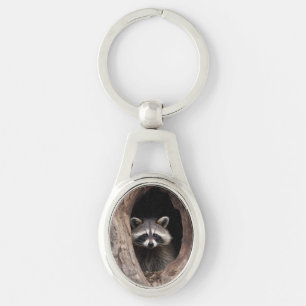 Racoon in Tree Cave Key Ring