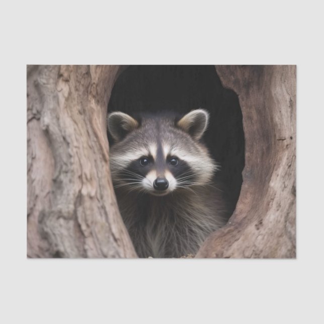 Racoon in Tree Cave  Tissue Paper (Front)