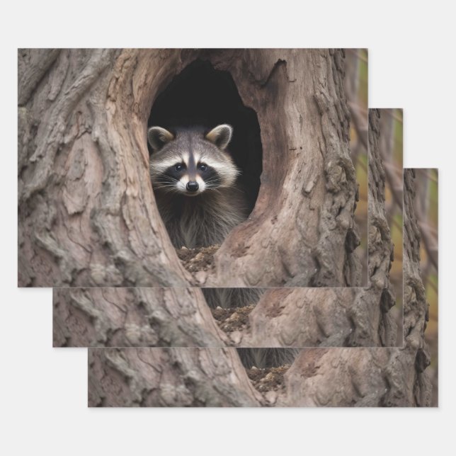 Racoon in Tree Cave  Wrapping Paper Sheet (Set)