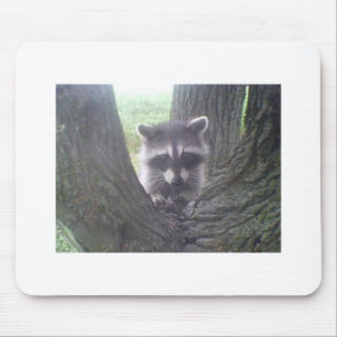 Racoon In Tree Mouse Mat