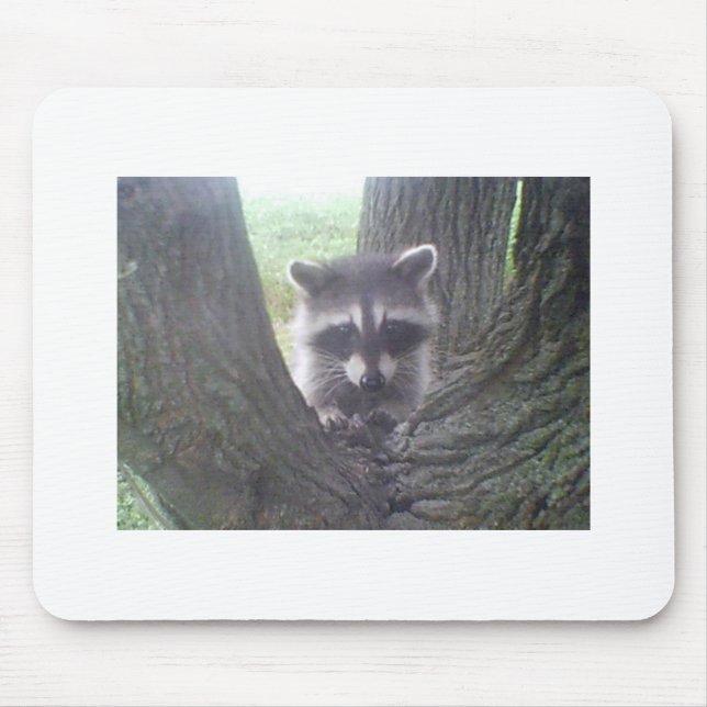 Racoon In Tree Mouse Mat (Front)