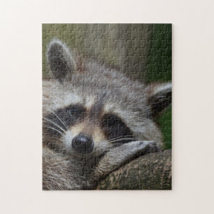 Racoon Jigsaw Puzzle