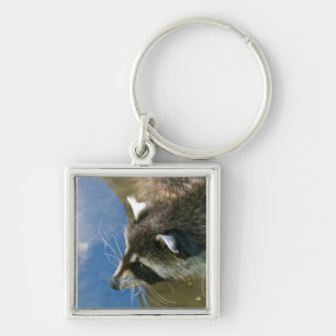 Racoon Key Ring