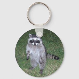Racoon Keychain