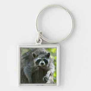 Racoon Keychain