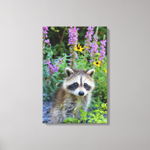 Racoon kit among the flowers canvas print.