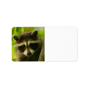 racoon label