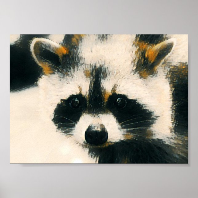 Racoon Lover Poster (Front)