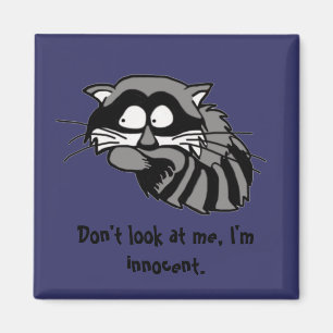 Racoon Magnet