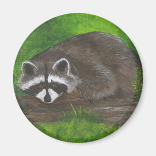 Racoon Magnet