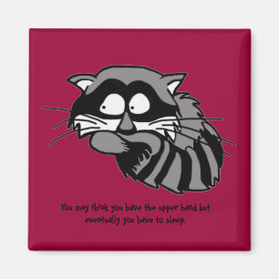 Racoon Magnet