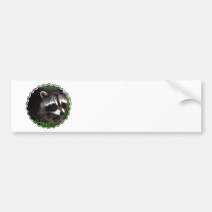 Racoon Mask Bumper Sticker