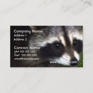 Racoon Mask Business Cards
