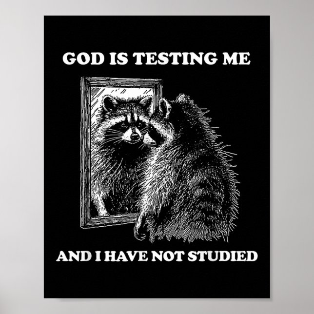 Racoon Meme Funny Saying God Is Testing Me Street Poster (Front)
