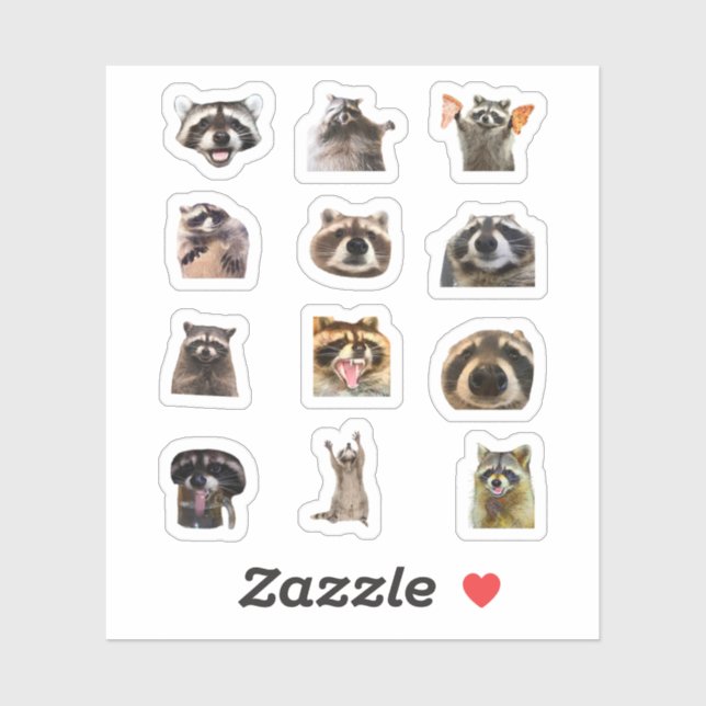 Racoon Meme Funny Sticker Set Bundle (Sheet)
