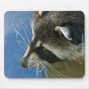 Racoon Mouse Mat