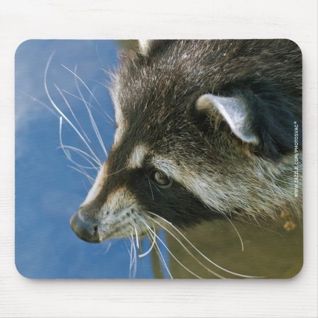 Racoon Mouse Mat (Front)