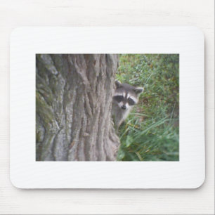 Racoon Mouse Mat