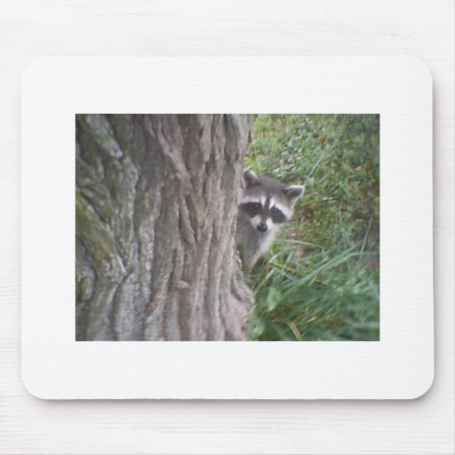Racoon Mouse Mat (Front)