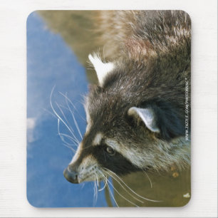Racoon Mouse Mat