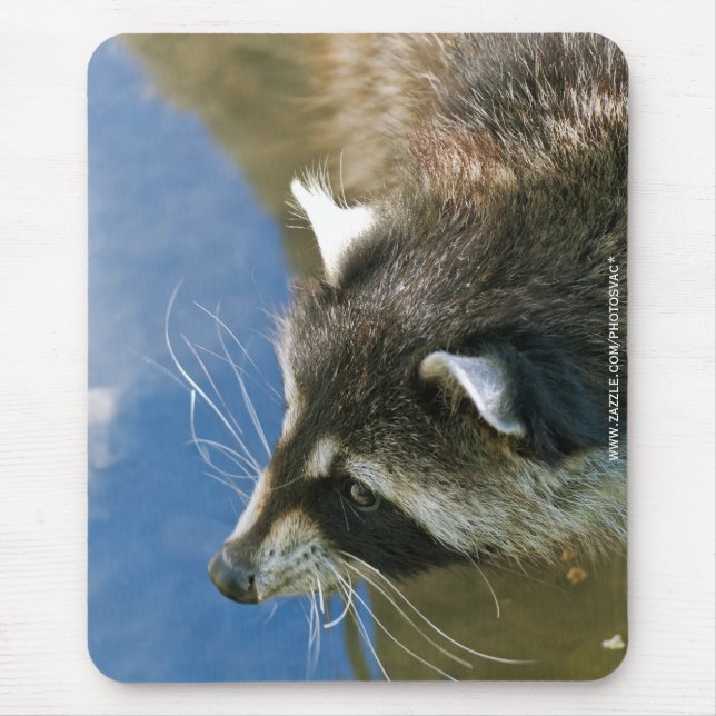 Racoon Mouse Mat (Front)