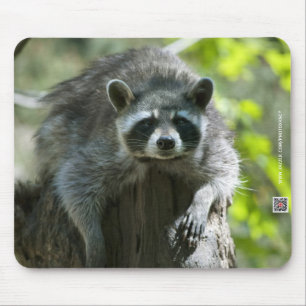 Racoon Mousepad