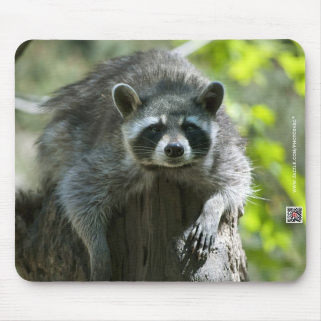 Racoon Mousepad (Front)
