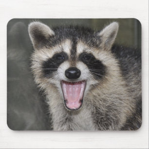 Racoon Mousepad - #1025