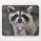 Racoon Mousepad - #1025