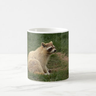 Racoon Mug