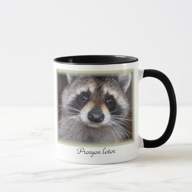 Racoon mug - Procyon lotor (Right)