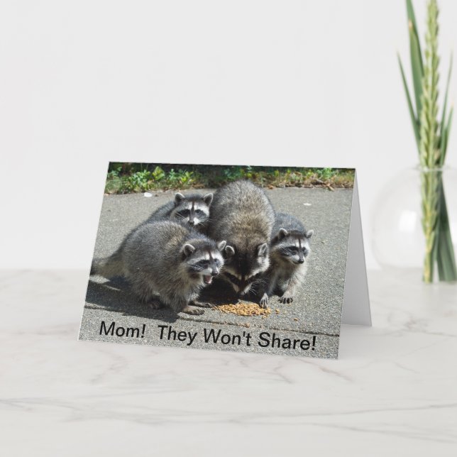 Racoon Mum & Babies Card (Front)