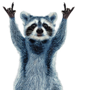 Racoon - Nature Racoon - Cute Racoon Rectangular Sticker