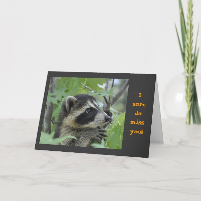 Racoon - Notecard (Front)