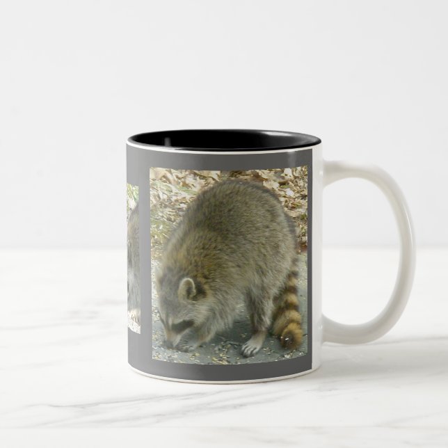 Racoon on Rock Mug (Right)