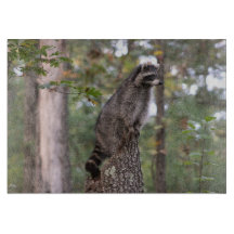 Racoon on stump cutting board